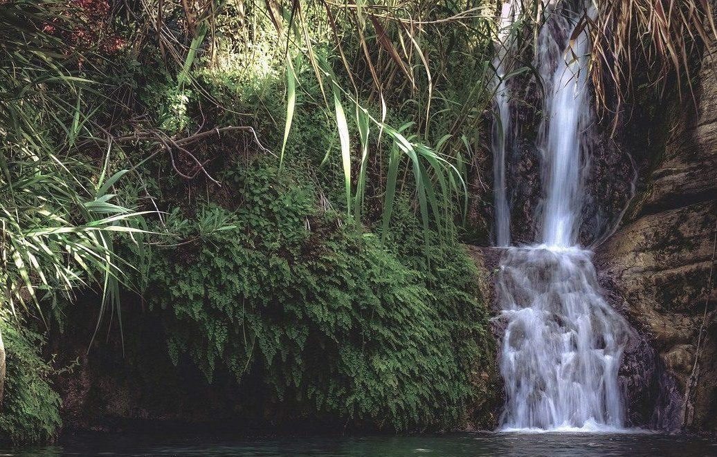 Cipar Troodos: šume, planinarske staze i vodopadi