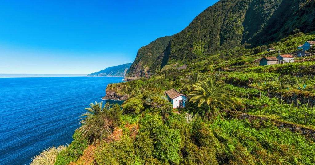 FNC Madeira 004 Henrique Seruca TB Supplied RGB 136 DPI For Web