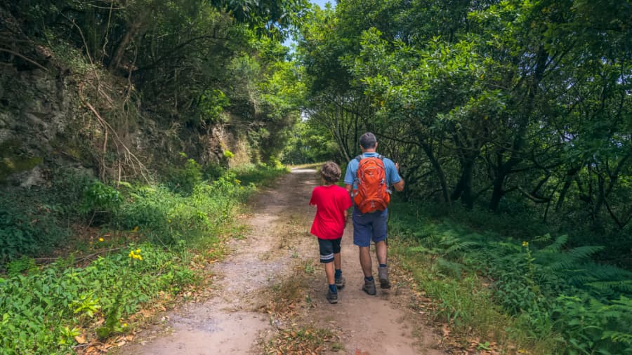 Vereda das Funduras Madeira planinarska staza kroz šumu Laurissilva