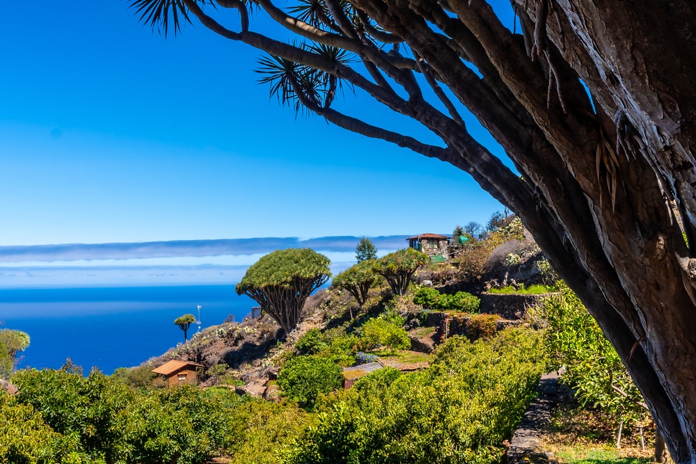 La Palma sa zelenim krajolikom, brdima i prirodnim izgledom kanarskog otoka