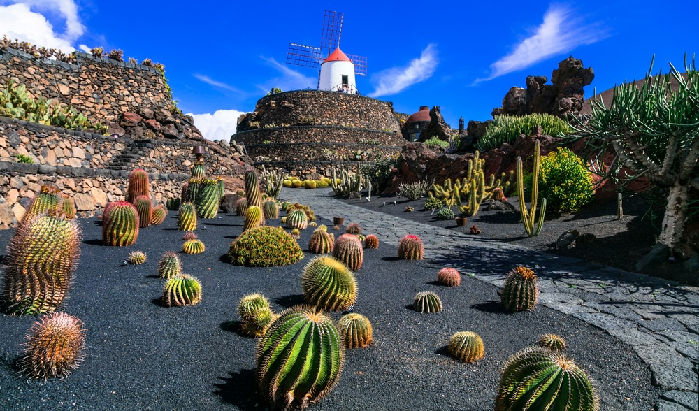 kaktus vrt Lanzarote