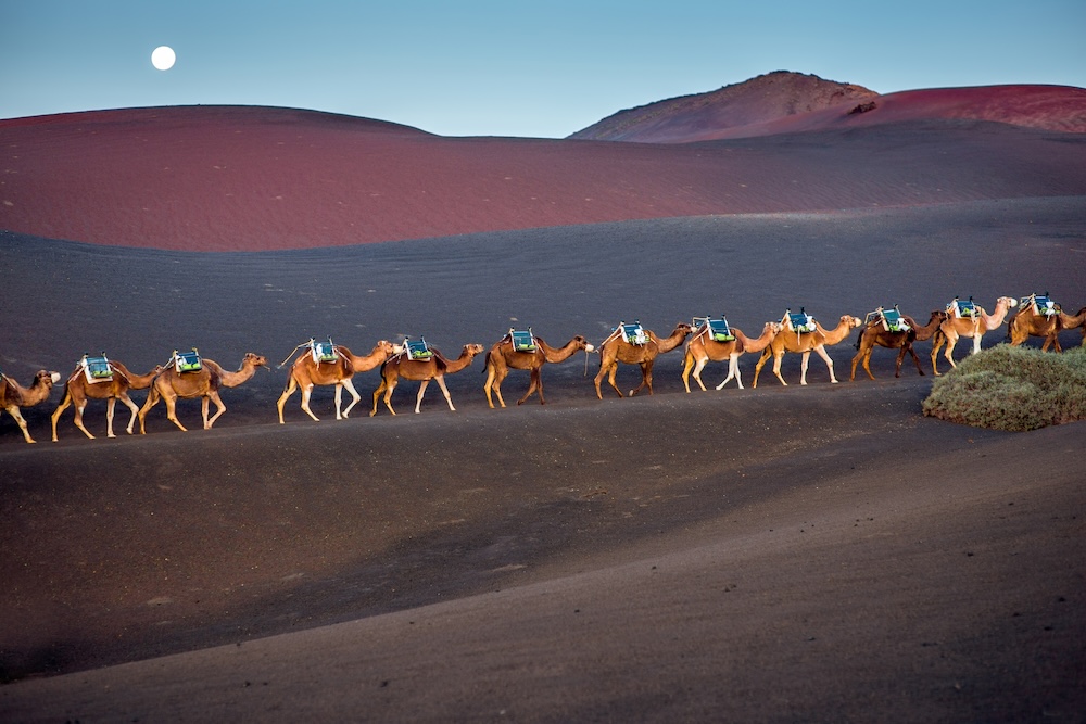 Nacionalni park Timanfaya na Lanzaroteu – vulkanska polja lave i vatrene planine