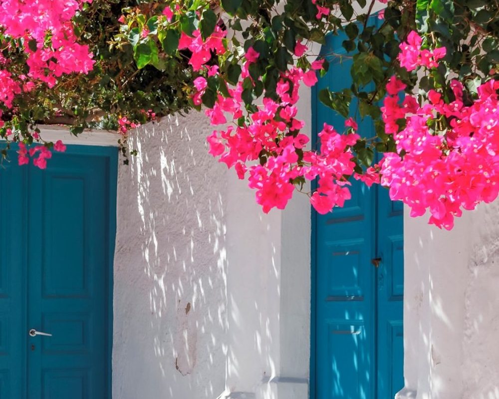 Bugenvilije Santorini ulice i fotolokacije