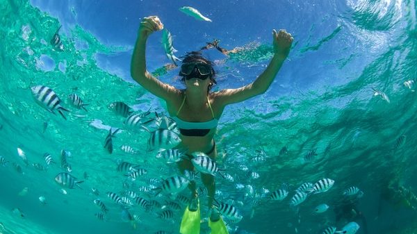 Snorklanje u Sharm el Sheikhu: koraljni grebeni i šareni podvodni svijet (Ras Mohammed)
