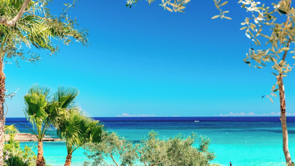 Fig Tree Bay na Cipru – pješčana plaža za obitelji