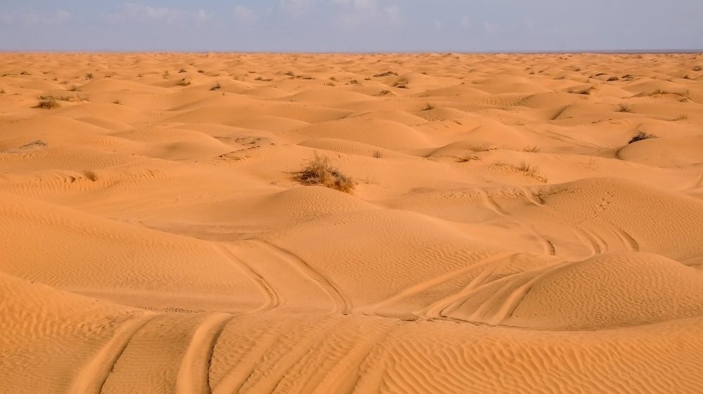 Djerba puscava 2024 12 27 202252 juza