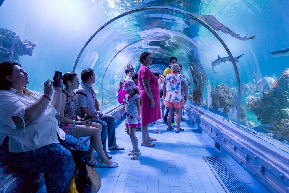 Hurghada Grand Aquarium – obiteljski izlet i morski svijet Crvenog mora