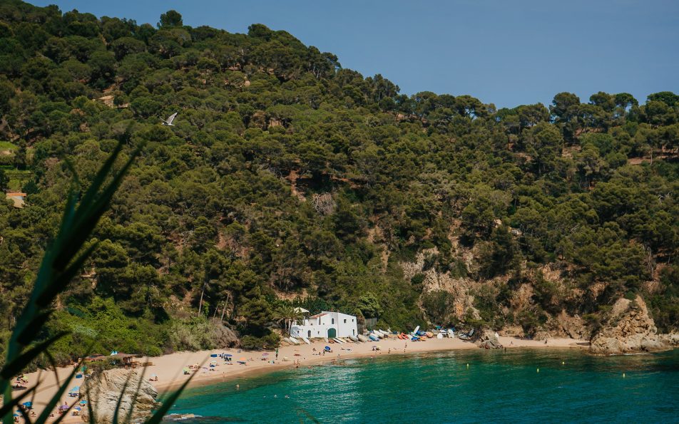 Plaža Canyelles Lloret de Mar obiteljska uvala s borovima i tirkiznim morem na Costa Bravi