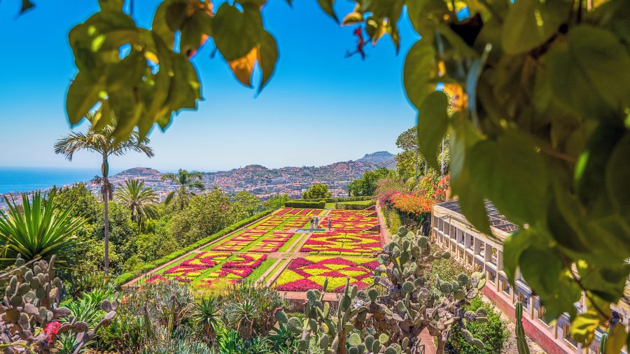 Botanički vrt Madeira obiteljski izlet među tropskim biljkama
