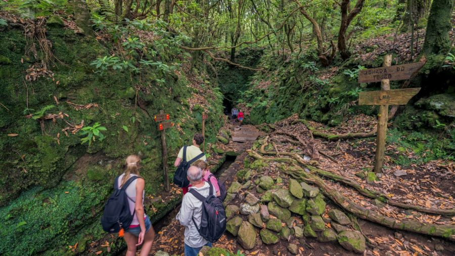 Levada Caldeirao Verde Madeira šumska staza sa slapovima i tunelima