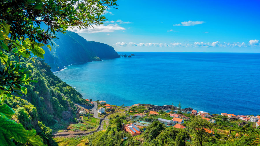 Madeira aktivnosti promatranje dupina i ocean na Madeiri