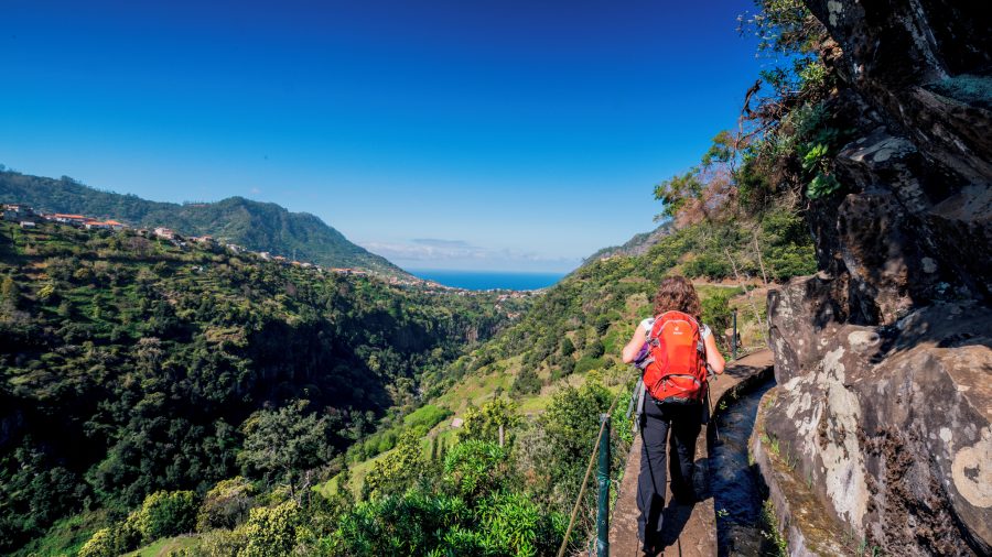Levada do Castelejo Madeira obiteljska planinarska staza