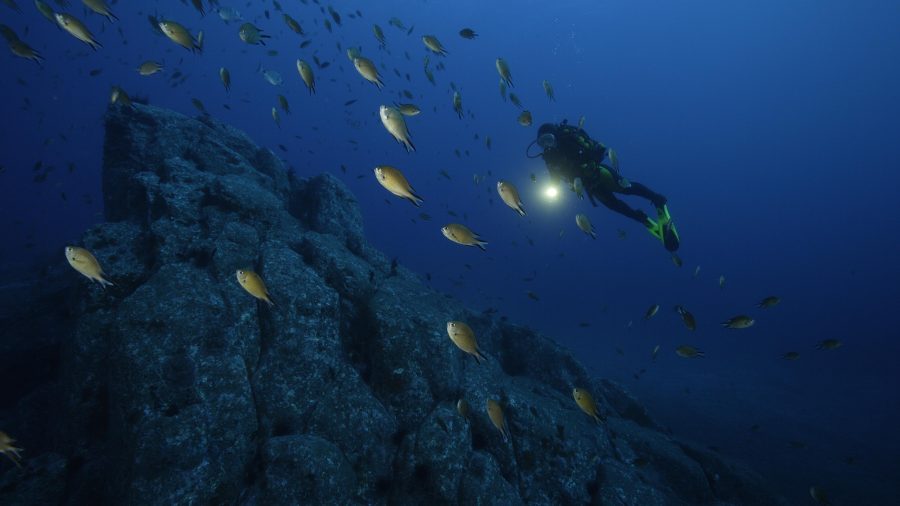 Ronilac u podvodnom prirodnom rezervatu Garajau na Madeiri s bogatim morskim svijetom