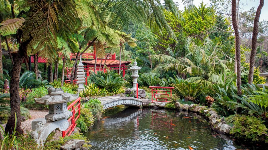 Monte Palace Madeira tropski vrt s jezercima i slapovima