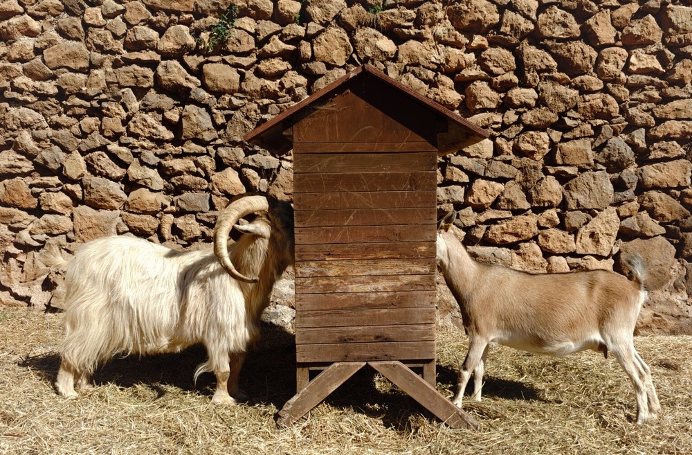 Imanje La Granja na Mallorci – izlet s djecom, povijesno imanje i degustacije lokalnih proizvoda