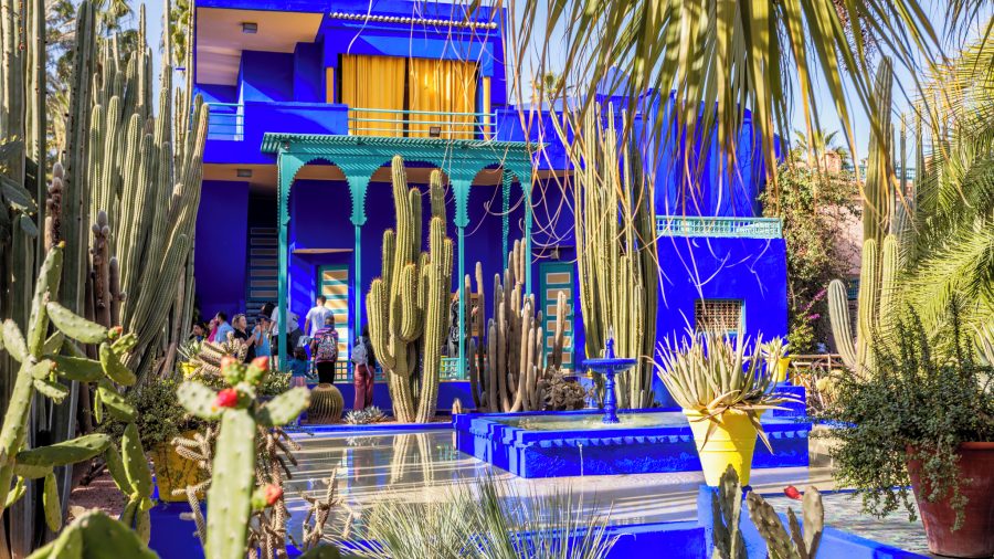 Jardin Majorelle vrt Marrakesh