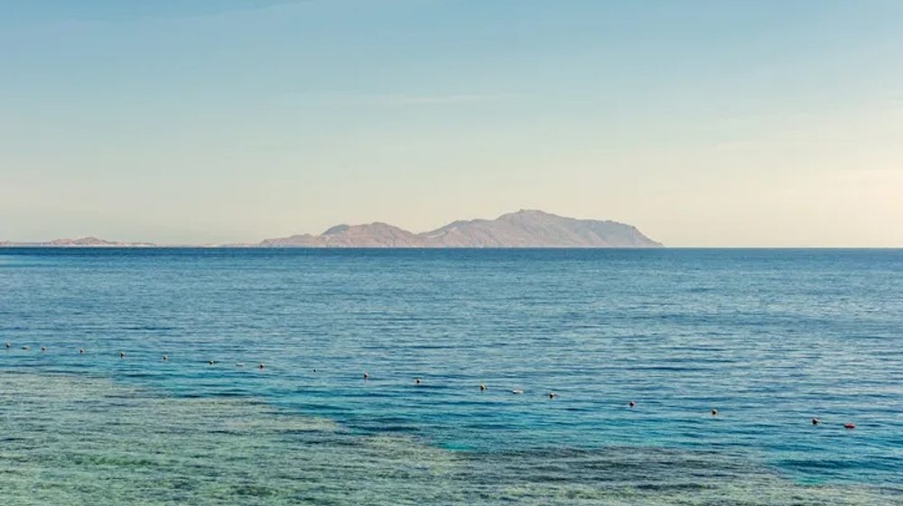 Otok Tiran kod Sharm El Sheikha – izlet brodom i snorklanje u Crvenom moru